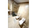 studio-meuble-de-59m2-a-louer-small-4