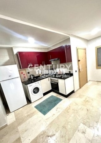 studio-meuble-de-59m2-a-louer-big-3