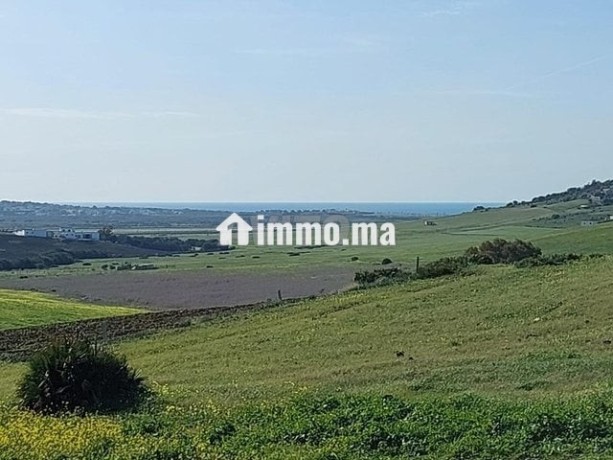 terrain-titre-15-hectares-vue-panoramique-a-cape-big-8