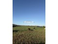 6-hktarat-mhfth-aal-alshaty-llbyaa-small-6