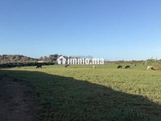 6-hktarat-mhfth-aal-alshaty-llbyaa