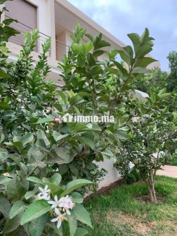 location-splendide-villa-meublee-targa-big-11