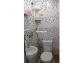 shk-mtaly-llkraaa-bhy-alfrh-60-m-small-2