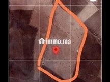terrain-agricol-de-20-hectares-en-vente-a-asfi