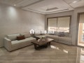 appartement-a-louer-quartier-des-princesses-small-1