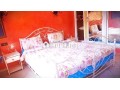 shk-llkraaa-alyomy-krb-mn-gamaa-alfna-small-1