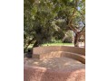 palais-de-luxe-designer-par-cocco-polizzi-small-9