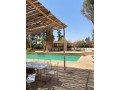 palais-de-luxe-designer-par-cocco-polizzi-small-15