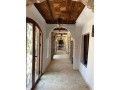 palais-de-luxe-designer-par-cocco-polizzi-small-1