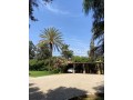palais-de-luxe-designer-par-cocco-polizzi-small-8