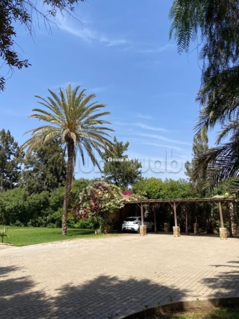 palais-de-luxe-designer-par-cocco-polizzi-big-8
