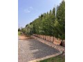 villas-de-luxe-a-louer-a-route-dagadir-surface-de-800-m2-salon-traditionnel-marocain-residence-securisee-small-2
