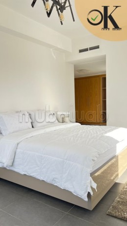 sejour-haut-standing-pres-de-hotel-hilton-big-17