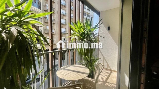 appartement-a-louer-39-m2-a-casablanca-big-4
