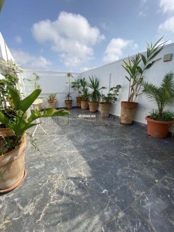 duplex-meuble-avec-terrasse-a-louer-a-racine-big-13