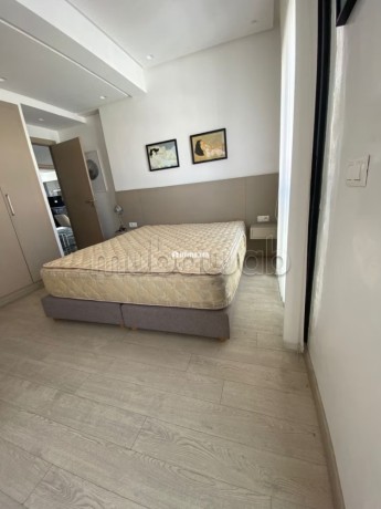 duplex-meuble-avec-terrasse-a-louer-a-racine-big-5