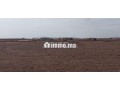 terrain-villa-titre-bon-afir-small-4