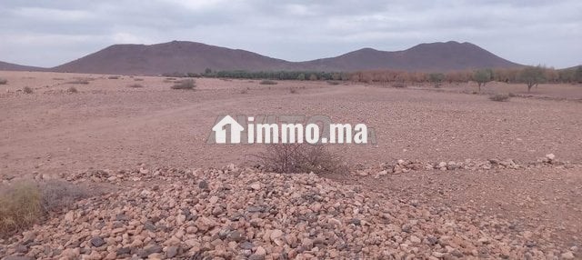 terrain-villa-titre-bon-afir-big-3