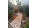 magnifique-villa-a-louer-avec-piscine-et-piscine-small-6