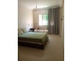 appartment-a-louer-small-2
