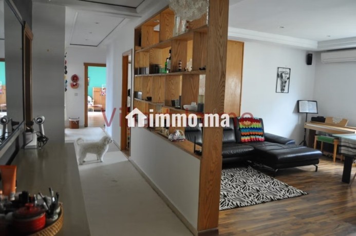 magnifique-appartement-en-plein-centre-diberia-big-4