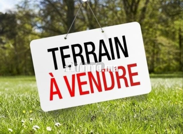 terrain-de-3-000-m2-a-vendre-sur-ambassadeur-big-5
