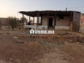 firme-kory-fy-doar-alkady-small-6