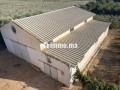 une-ferme-rentable-sur-route-haj-kedour-small-10
