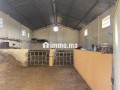une-ferme-rentable-sur-route-haj-kedour-small-12