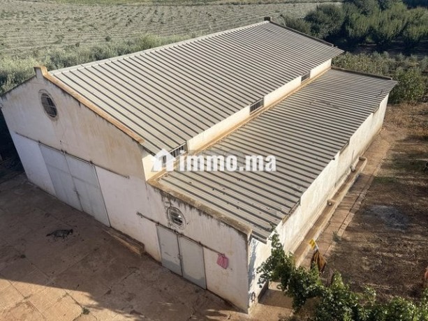 une-ferme-rentable-sur-route-haj-kedour-big-10