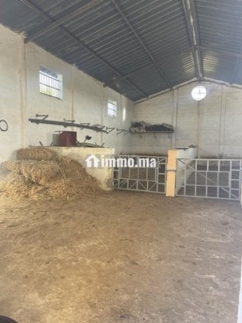 une-ferme-rentable-sur-route-haj-kedour-big-11