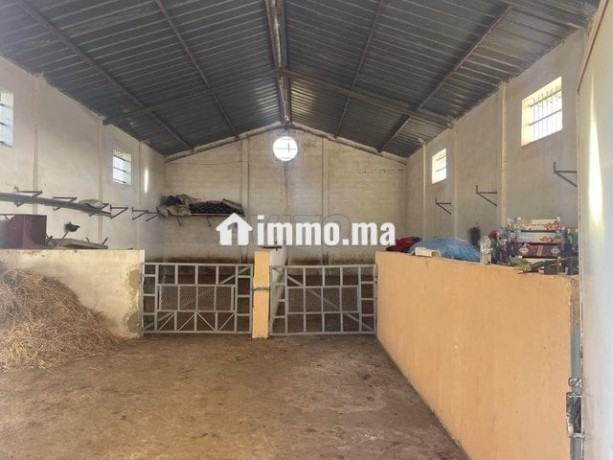 une-ferme-rentable-sur-route-haj-kedour-big-12