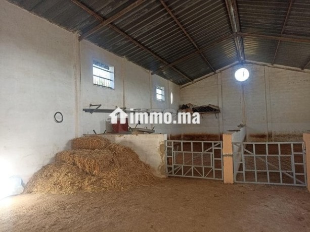 une-ferme-rentable-sur-route-haj-kedour-big-3