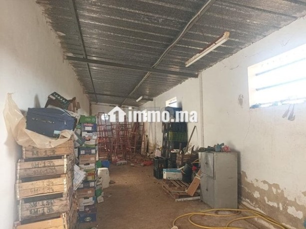 une-ferme-rentable-sur-route-haj-kedour-big-6