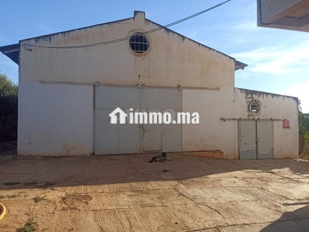 une-ferme-rentable-sur-route-haj-kedour-big-7