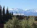 km-413000-m2-en-sd1-avec-villa-beldi-de-330-m2-picine-small-6