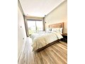 top-studio-oasis-small-5