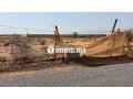 terrain-sidi-moussa-lhamri-a-vendre-small-2