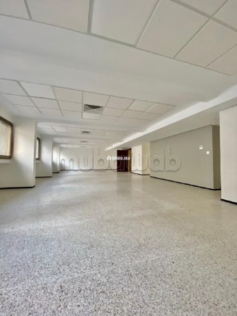 plateau-de-bureau-200m2-400m2-600m2-av-far-big-6