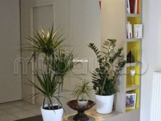 Location d'un appartement en Centre ville. 3 grandes pièces. Vue imprenable sur la mer, double vitrage - Appartement à vendre