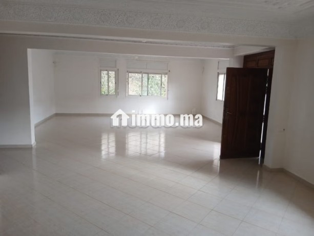 vente-villa-de-luxe-a-riyad-4-grandes-pieces-terrasse-et-jardin-big-1