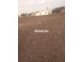 alard-almlky-llbyaa-fyha-dar-small-4