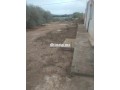 alard-almlky-llbyaa-fyha-dar-small-7