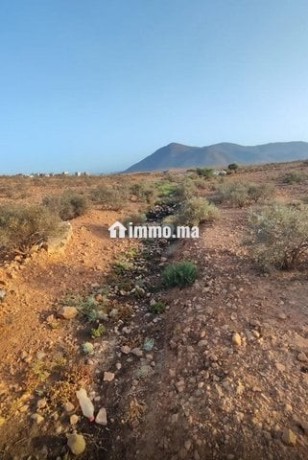 terrain-titre-big-2