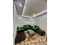 appartement-meuble-bas-dagdal-3pc-small-0