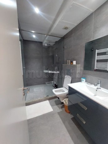 appartement-exceptionnel-plein-racine-big-4