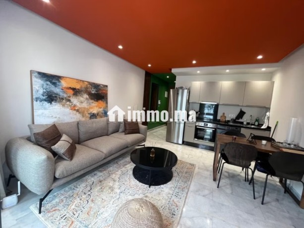 louez-cet-appartement-a-racine-1-piece-meuble-big-2