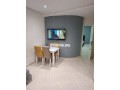 studio-meuble-en-location-bordeaux-small-3