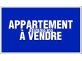 appartement-duplex-150-m2-a-gueliz-small-0
