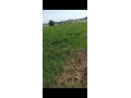 terrain-agricole-5700-m2-titre-equipe-small-2